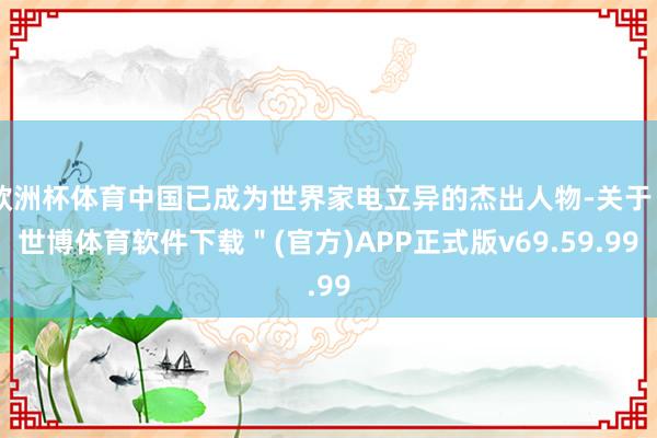 欧洲杯体育中国已成为世界家电立异的杰出人物-关于＂世博体育软件下载＂(官方)APP正式版v69.59.99