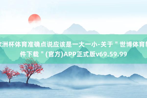 欧洲杯体育准确点说应该是一大一小-关于＂世博体育软件下载＂(官方)APP正式版v69.59.99