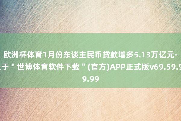 欧洲杯体育　　1月份东谈主民币贷款增多5.13万亿元-关于＂世博体育软件下载＂(官方)APP正式版v69.59.99