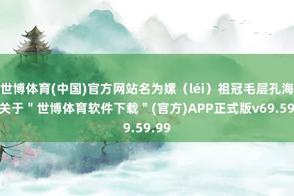 世博体育(中国)官方网站名为嫘（léi）祖冠毛层孔海绵-关于＂世博体育软件下载＂(官方)APP正式版v69.59.99