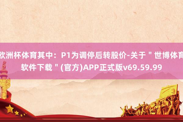 欧洲杯体育其中:P1为调停后转股价-关于"世博体育软件下载"(官方)APP正式版v69.59.99
