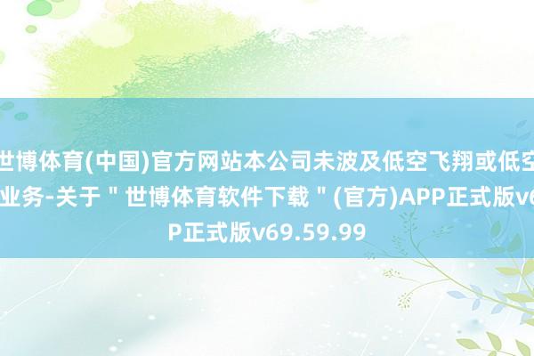 世博体育(中国)官方网站本公司未波及低空飞翔或低空经济相干业务-关于＂世博体育软件下载＂(官方)APP正式版v69.59.99