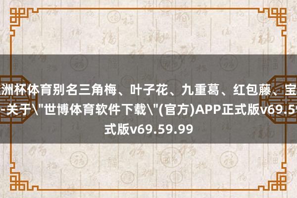欧洲杯体育别名三角梅、叶子花、九重葛、红包藤、宝巾花等-关于