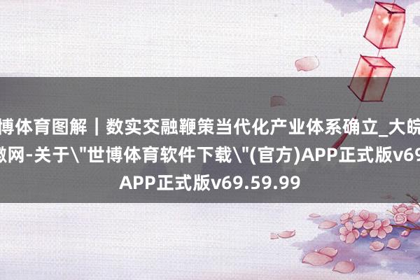 世博体育图解｜数实交融鞭策当代化产业体系确立_大皖新闻 | 安徽网-关于
